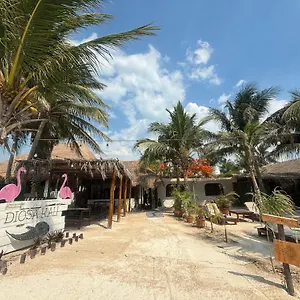 La Diosa Kali Front Ilha Holbox